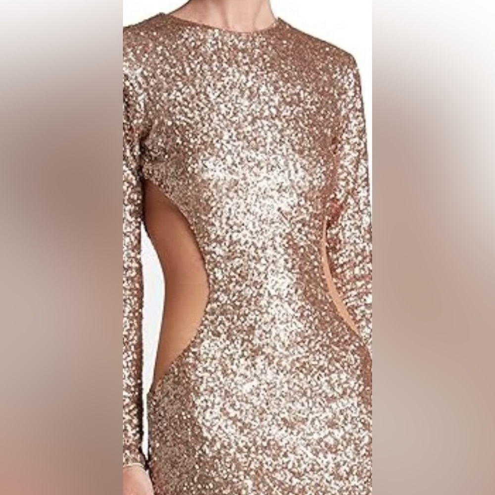 Dress the population long sequined evening dress